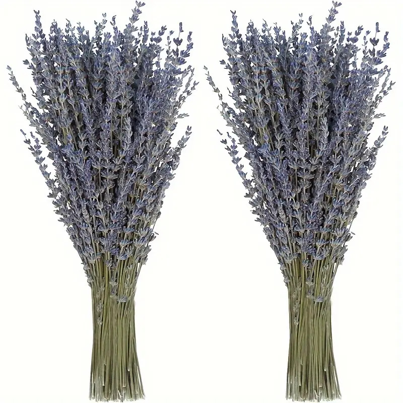 Dried Flower Bunch - 200 шт./пучок сушеных цветов лаванды для