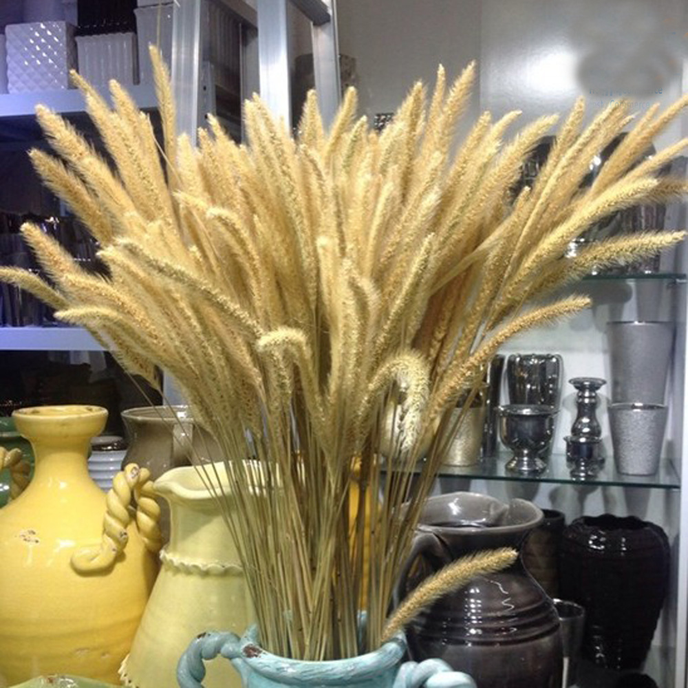 Dried Flower Bunch - 200 шт., натуральные сушеные букеты Lagurus