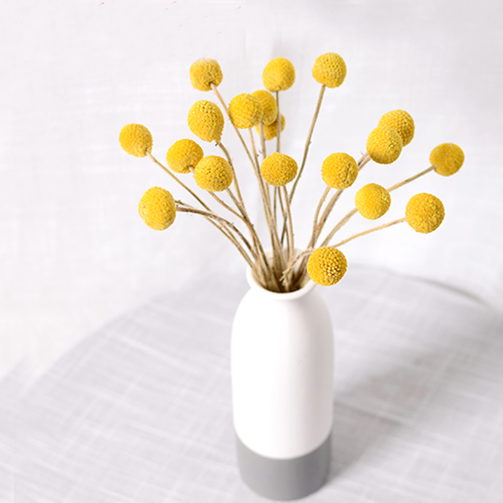 20 шт. натуральные сушеные бук – обзор и цена Dried Flower Bunch