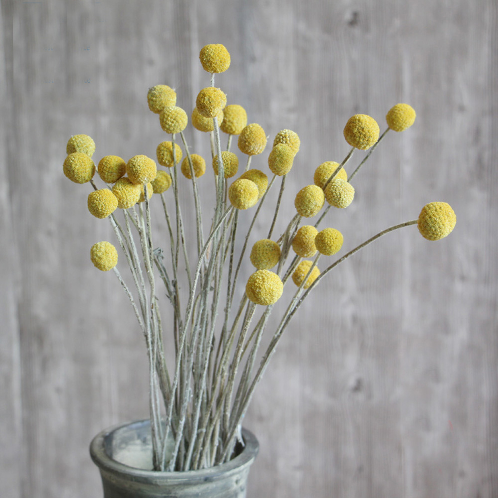 20 шт. натуральные сушеные бук – обзор и цена Dried Flower Bunch