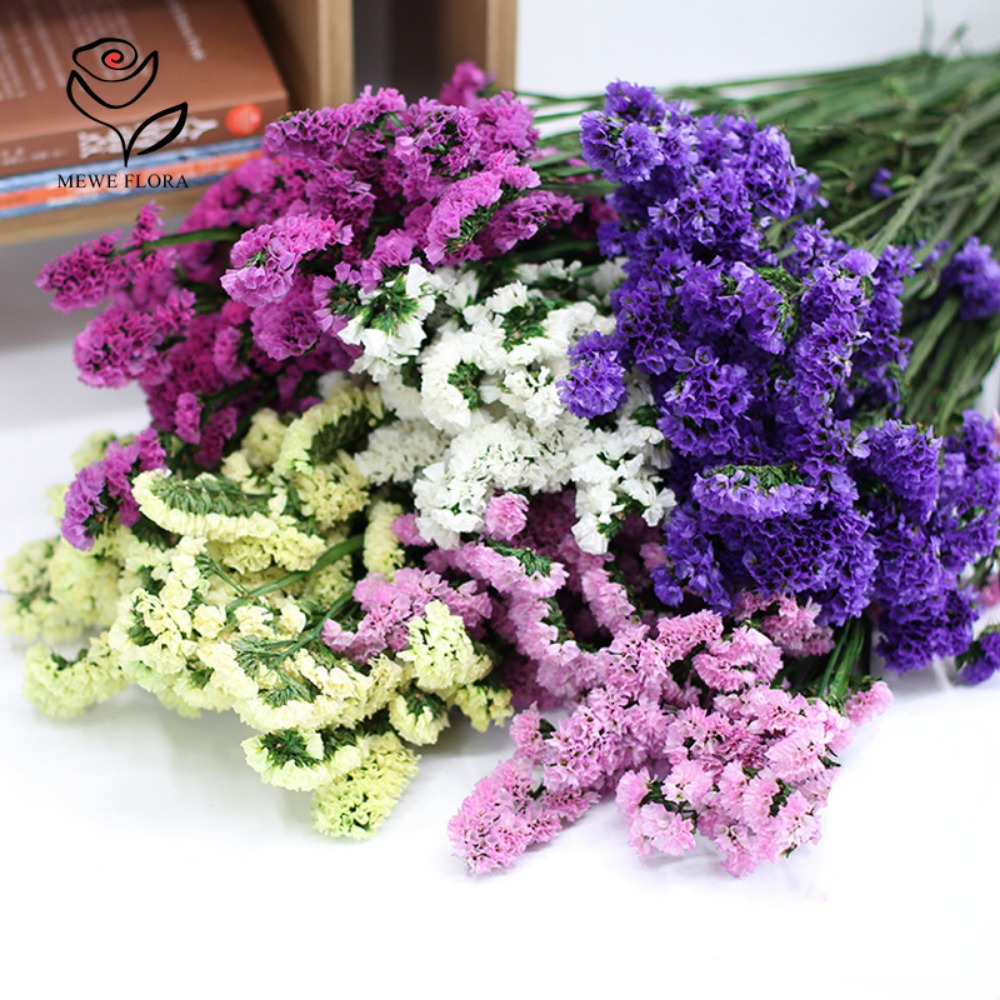 Сушеные цветы забудьте о мне,  – обзор и цена Dried Flower Bunch